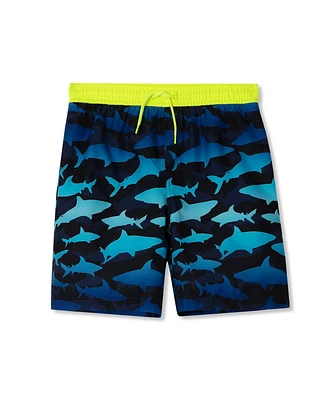 Lands' End Boys Active Stretch Swim Trunks