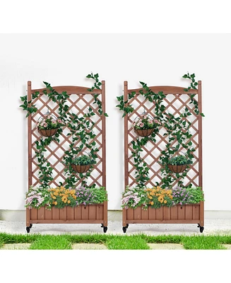 2-Pack Raised Garden Bed with Trellis & Climbing Racks