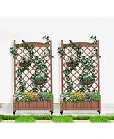 2-Pack Raised Garden Bed with Trellis & Climbing Racks