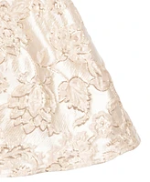 Rare Editions Toddler and Little Girls Brocade Party Dress
