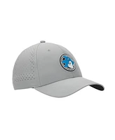 Sonic the Hedgehog Men's Sonic Head Adult Gray Traditional Adjustable Hat