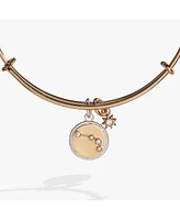 Zodiac Bangle Bracelet Aries