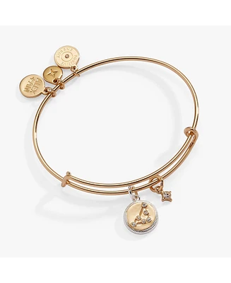 Zodiac Bangle Bracelet Capricorn