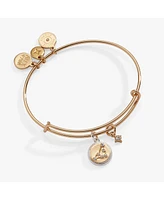 Zodiac Bangle Bracelet Capricorn