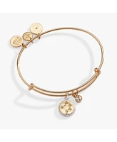 Zodiac Bangle Bracelet Libra