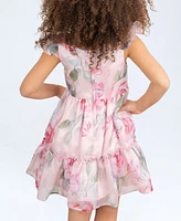 Rare Editions Toddler and Little Girls Floral Organza Party Dress