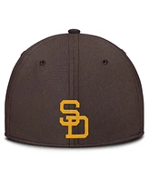 Nike Men's Gray/Brown San Diego Padres Rise Swoosh Performance Flex Hat