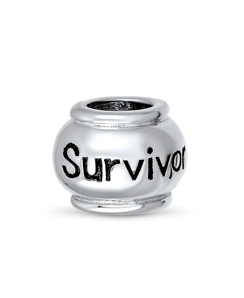 Bling Jewelry Hope Believe Survivor Message Charm Bead Sterling Silver for European Bracelet