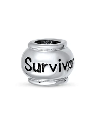 Bling Jewelry Hope Believe Survivor Message Charm Bead Sterling Silver for European Bracelet