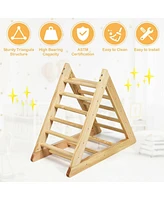 Wooden Triangle Climber for Toddler Step Training
