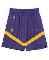Nike Preschool 2-Piece Purple Los Angeles Lakers Mesh Tank Top and Shorts Set