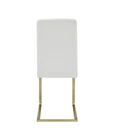Set of 2 Modern Dining Chairs for Kitchen Table or Home Seating