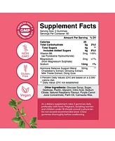 Hormone Balance Gummies for Women | Pms Gummies and Cycle Support Supplements | Vitamin B6, Raspberry Flavor | 120ct