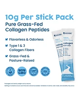 NativePath Collagen Peptides Protein Stick Packs - Hydrolyzed Type 1 & 3 Collagen Powder for Skin, Hair, Nails - 30 Servings