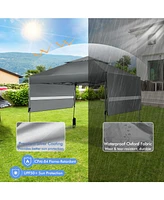 10 x 17.6 Feet Outdoor Instant Pop-up Canopy Tent with Dual Half Awnings