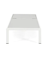 Aluminum Outdoor Chaise Lounge Set (2)