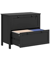 2 Drawer File Cabinet with Lock, Lateral Filing Cabinet with Keys and Adjustable Hanging Bar for Letter, A4 and Legal Size, File Cabinet for Home Offi