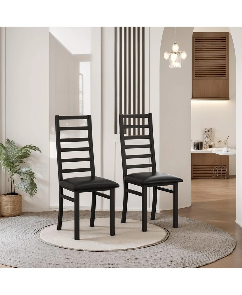 Modern Metal Dining Chairs, Set of 2 (Black)