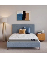 Closeout Serta Flowering Cherry 9.5 Medium Euro Top Mattress Collection