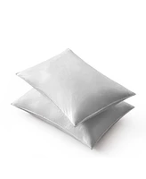 Unikome Goose Down Feather 2-Pack Pillows