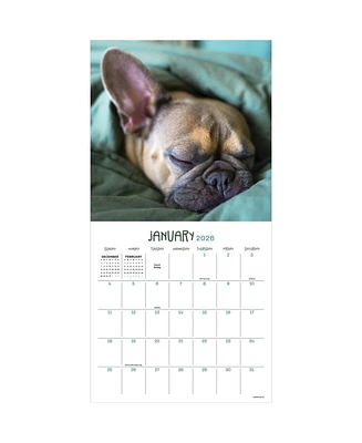 2026 Dog Dreams Wall Calendar