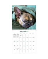 2026 Dog Dreams Wall Calendar
