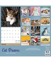 2026 Cat Dreams Wall Calendar