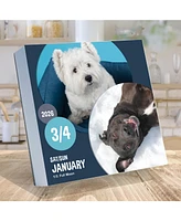 2026 Dog A Day Daily Desktop Calendar