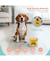 P.t. Supply Co. Lemon Shaped Stoneware Elevated Pet Bowl, Raised Ceramic Food & Water Dish for Dogs and Cats