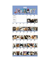 2026 Cat-a-Day Wall Calendar