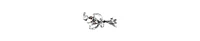 Sohi Rhinestone Collar Necklace
