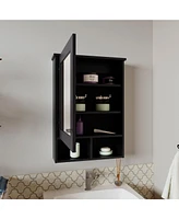 Anamoose Medicine Cabinet with 5 Shelves, 1 Door, and 1 Mirror