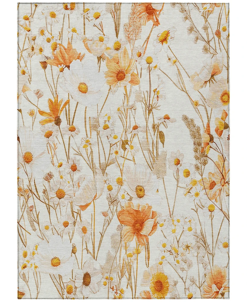Addison Chantille ACN1500 3'x5' Area Rug