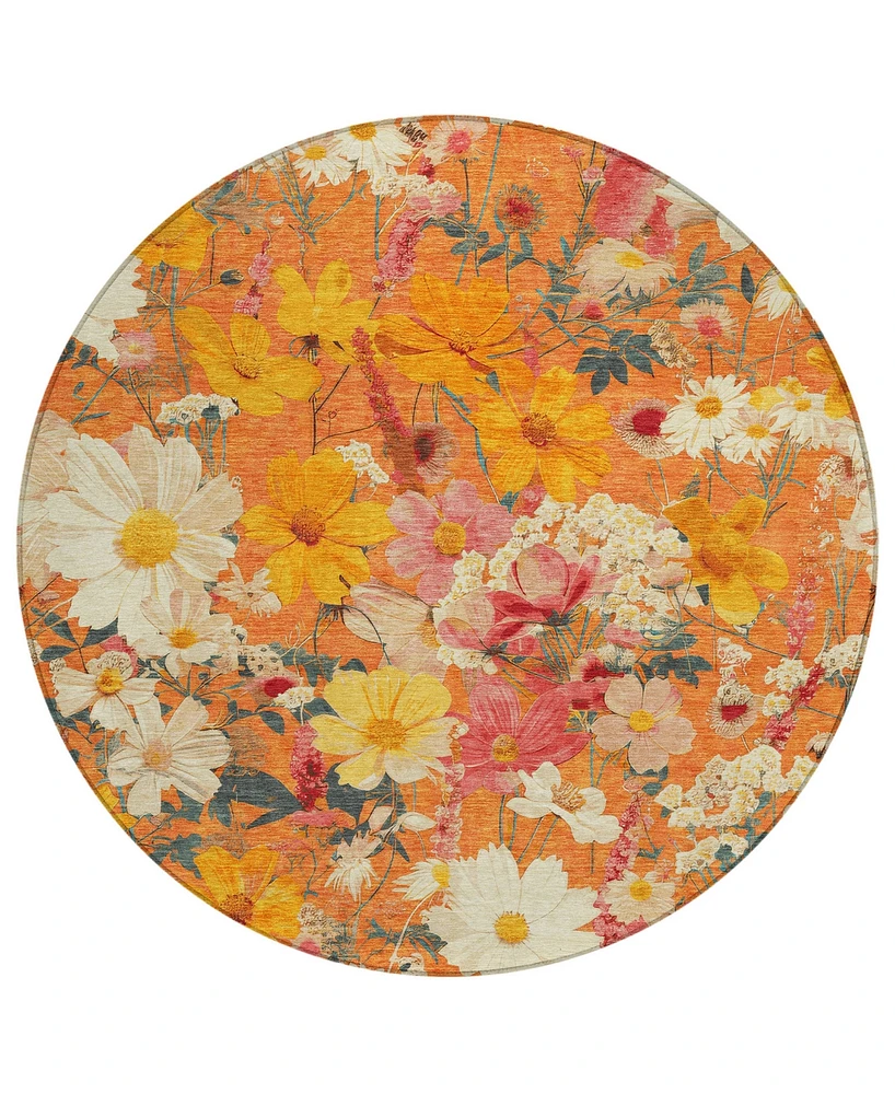 Addison Chantille Machine Washable ACN1510 8'x8' Round Area Rug