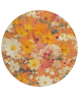 Addison Chantille Machine Washable ACN1510 8'x8' Round Area Rug