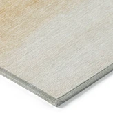 Addison Chantille Machine Washable ACN1253 2'6"x3'10" Area Rug