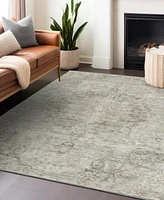 Addison Chantille Machine Washable ACN1238 10'x14' Area Rug