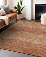 Addison Chantille Machine Washable ACN1266 10'x14' Area Rug