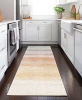 Addison Chantille Machine Washable ACN1253 2'3"x7'6" Runner Area Rug