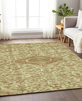Addison Chantille Machine Washable ACN1225 5'x7'6" Area Rug