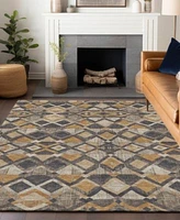 Addison Chantille Machine Washable Acn1313 Area Rug Collection