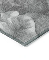 Addison Chantille Machine Washable Acn1562 Area Rug Collection