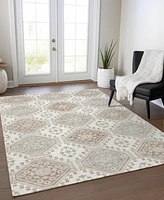 Addison Chantille Machine Washable ACN1445 10'x14' Area Rug