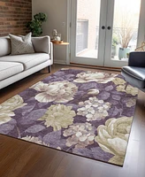 Addison Chantille Machine Washable ACN1561 5'x7'6" Area Rug