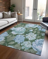 Addison Chantille Machine Washable ACN1566 8'x10' Area Rug