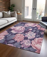Addison Chantille Machine Washable ACN1564 9'x12' Area Rug