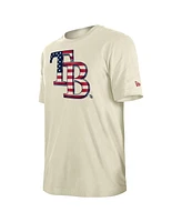 New Era Men's Cream Tampa Bay Rays Americana Flag Fill T-Shirt