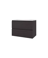 Smoot Floating Vanity with Two Drawers and Sink