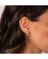 Solid Wide Squiggle Huggie Earring 14K