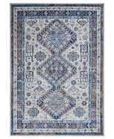 Amer Rugs Alaska Machine Washable ALA2 5'3'' x 7'6'' Area Rug